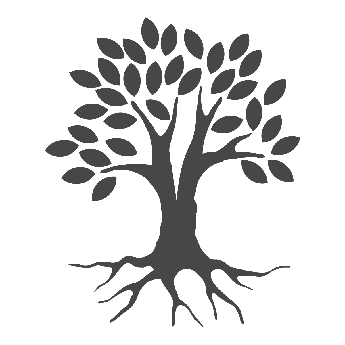 Phloem Consulting